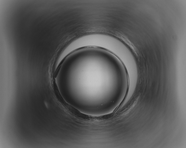 X0000102310585200808011424