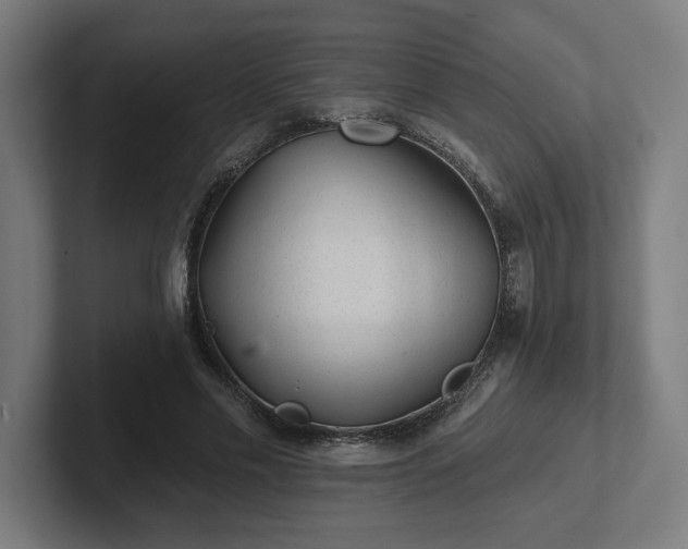 X0000102310589200808011424