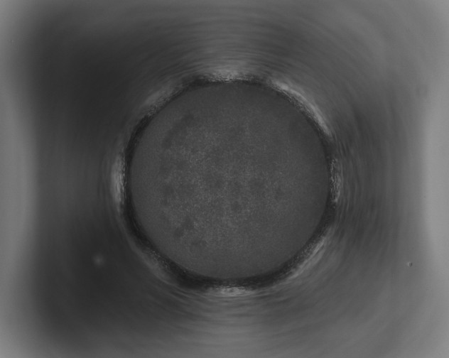 X0000102310590200808011424