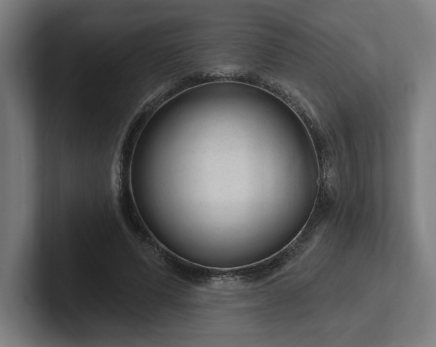 X0000102310591200808011424