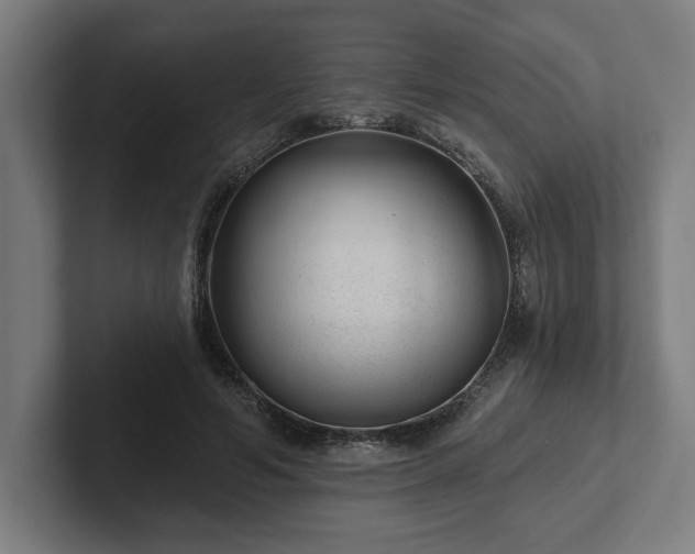 X0000102310594200808011424