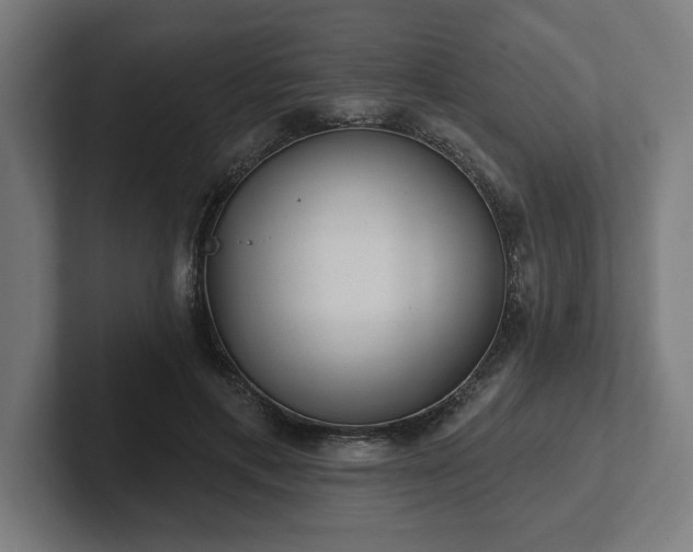 X0000102310597200808011424