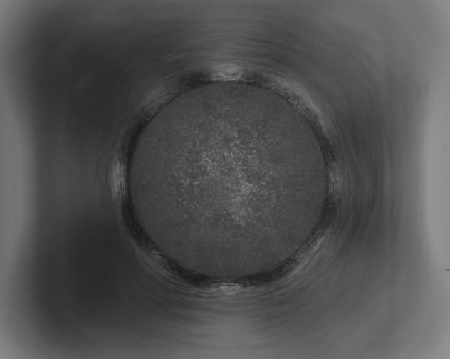 X0000102310598200808011424