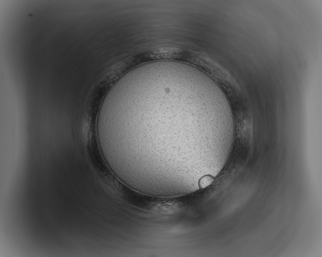 X0000102310599200808011424