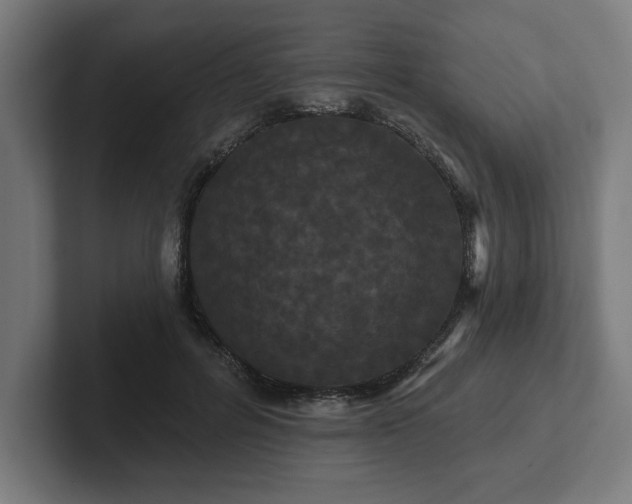 X0000102310600200808011424