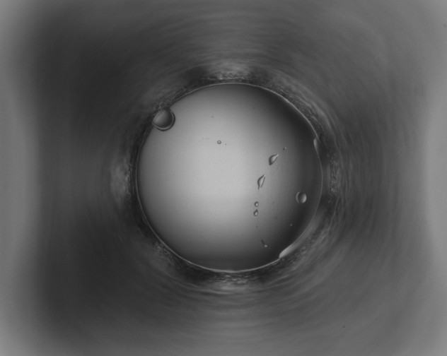 X0000102310604200808011424