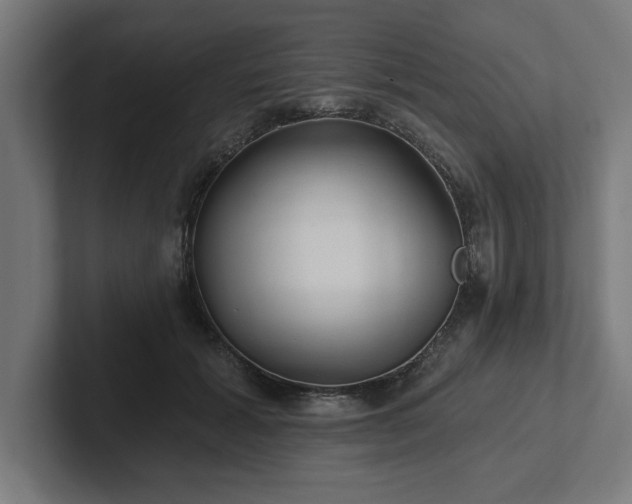 X0000102310605200808011424