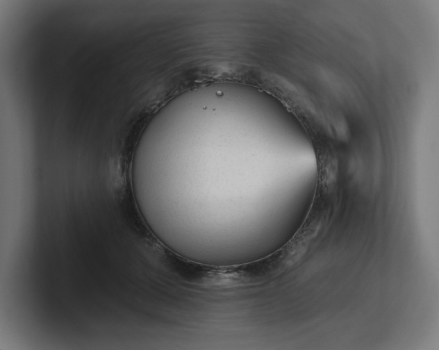 X0000102310607200808011424