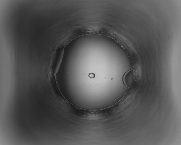 X0000102310608200808011424