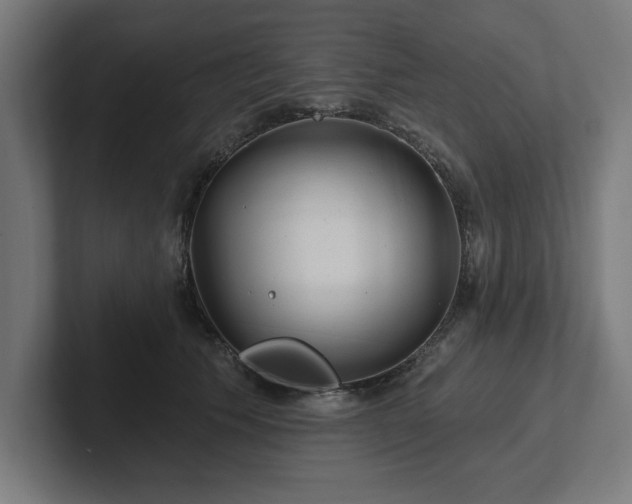 X0000102310609200808011424