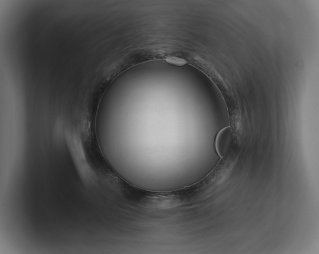 X0000102310615200808011424