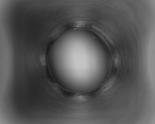 X0000102310620200808011424