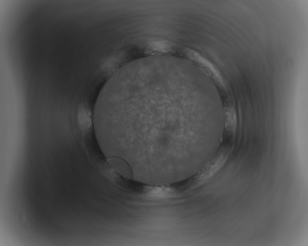 X0000102310621200808011424