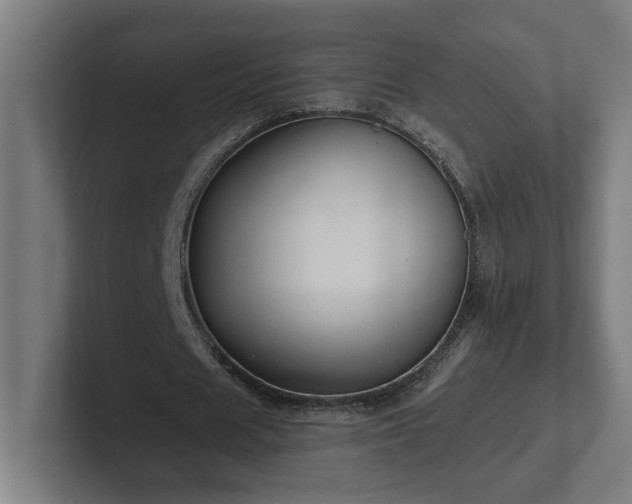 X0000102310625200808011423