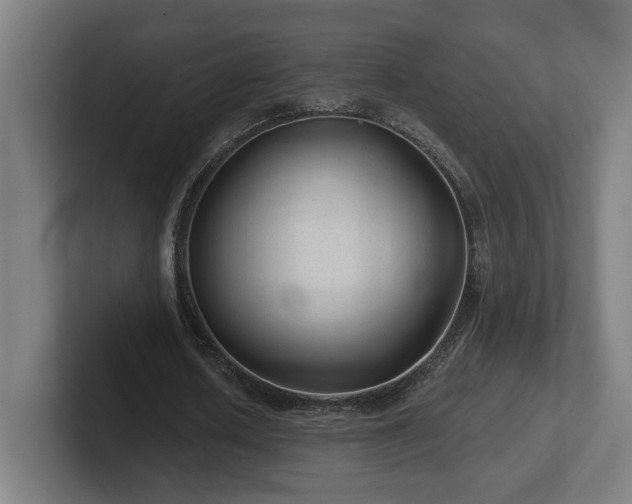 X0000102310626200808011423