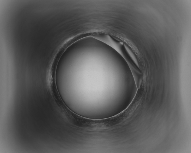 X0000102310628200808011423