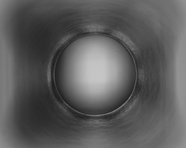 X0000102310629200808011423