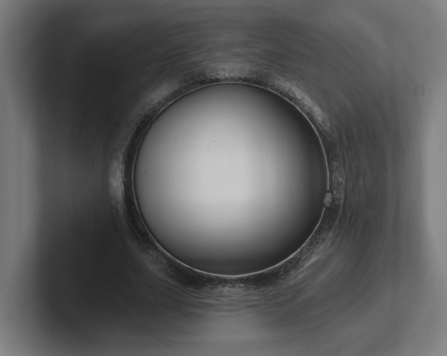 X0000102310631200808011423