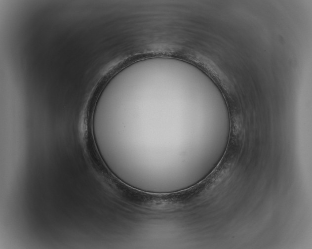 X0000102310632200808011423