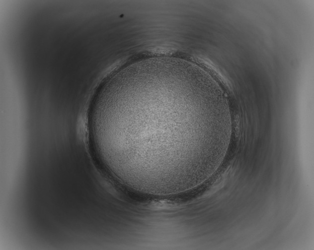 X0000102310634200808011423