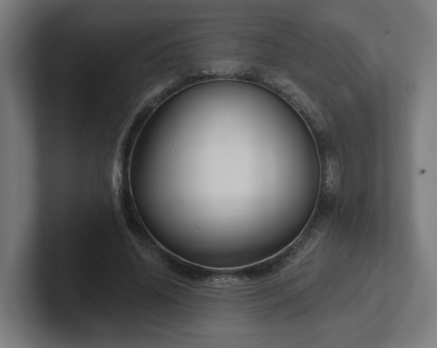 X0000102310636200808011423