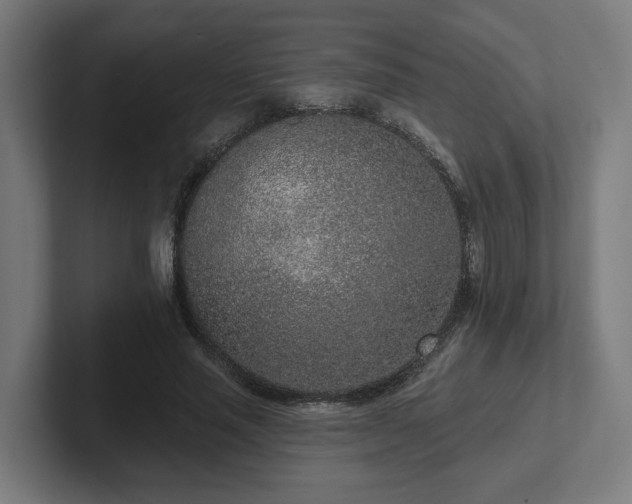 X0000102310637200808011423