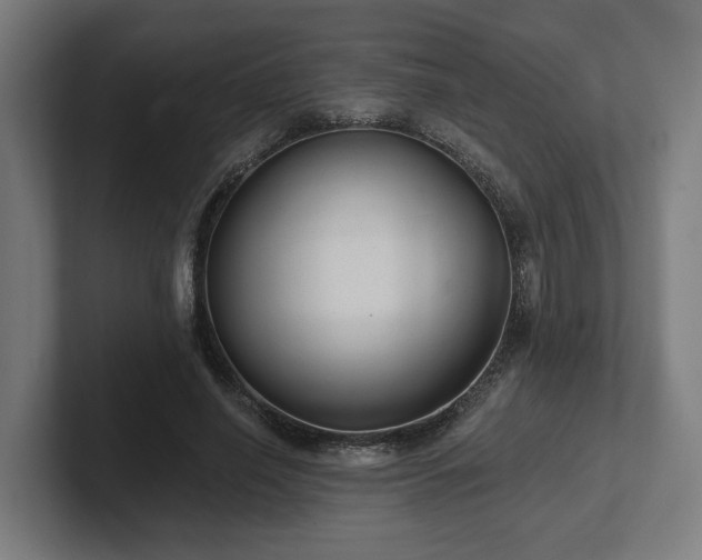 X0000102310638200808011423