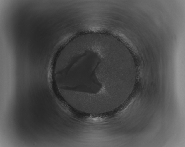 X0000102310640200808011423