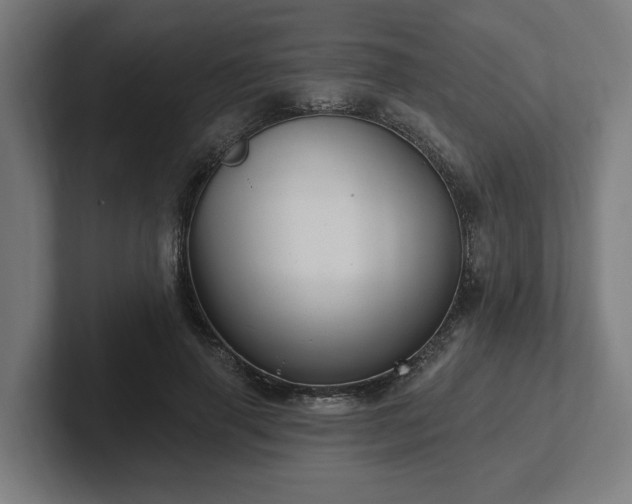 X0000102310645200808011423