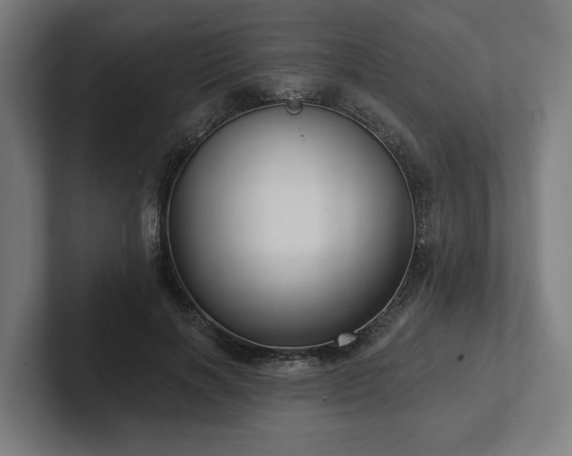 X0000102310646200808011423