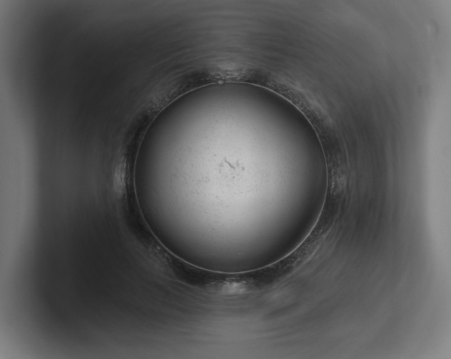 X0000102310647200808011423