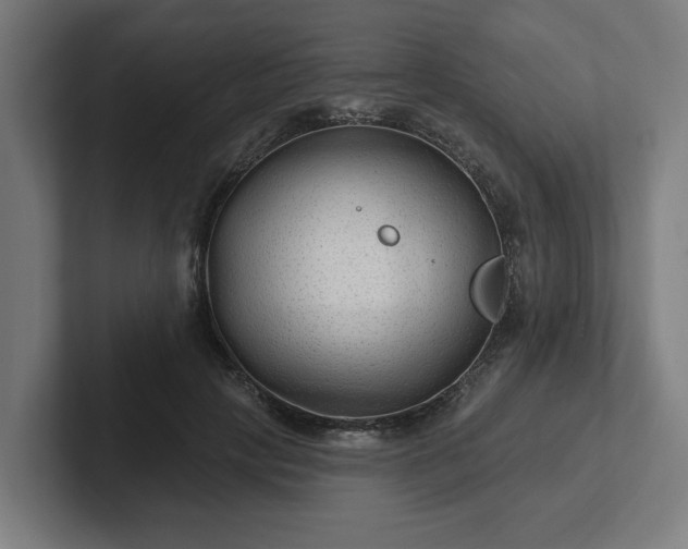 X0000102310649200808011424