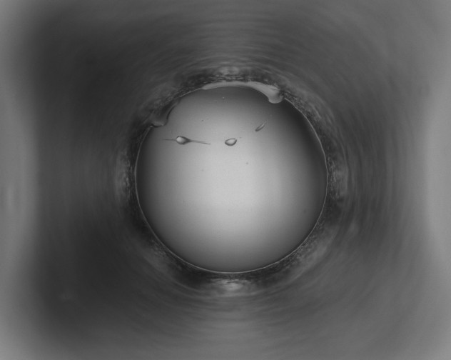 X0000102310654200808011424