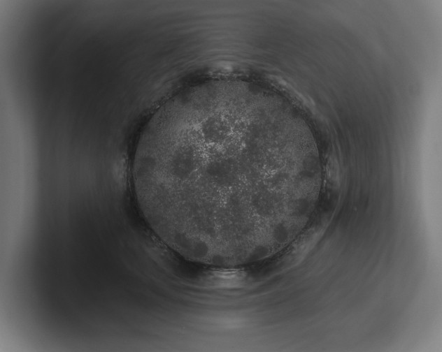 X0000102310659200808011424