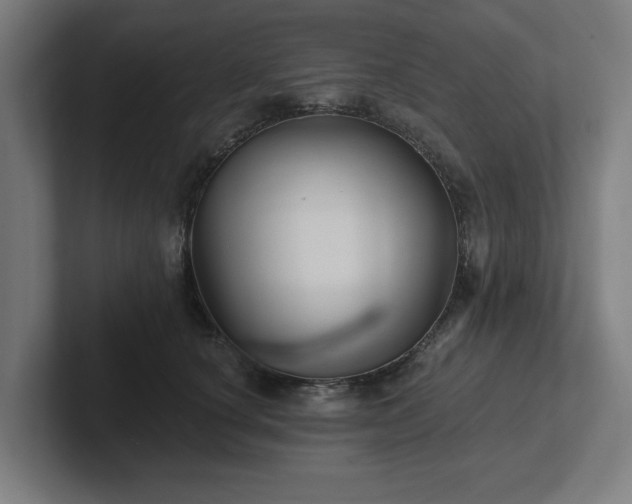 X0000102310660200808011424