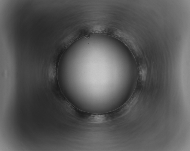 X0000102310665200808011424