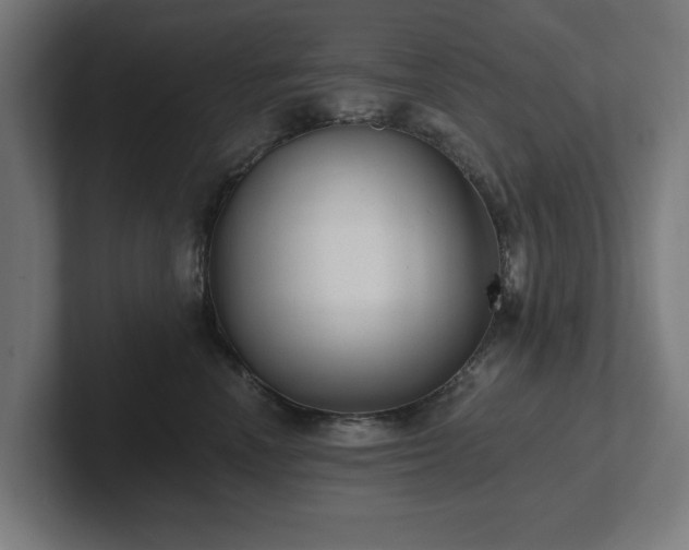 X0000102310666200808011424