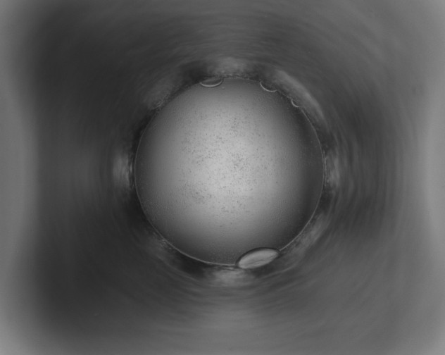 X0000102310669200808011424