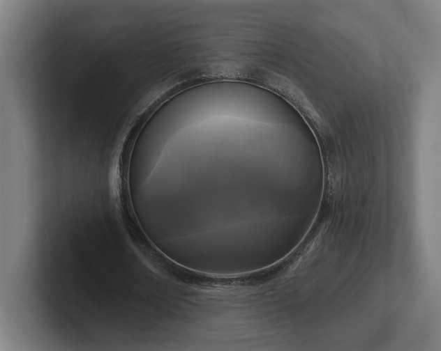 X0000102310674200808011423