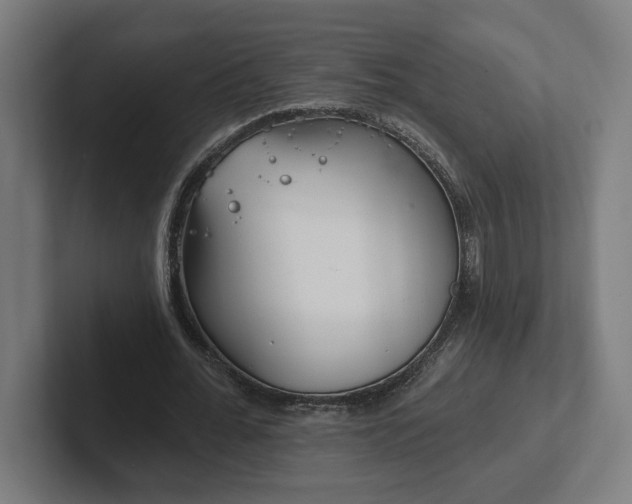 X0000102310676200808011423