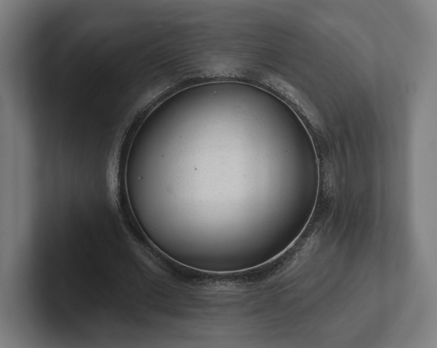 X0000102310677200808011423