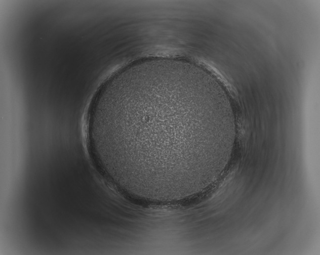 X0000102310679200808011423