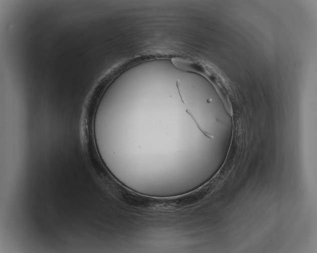 X0000102310680200808011423