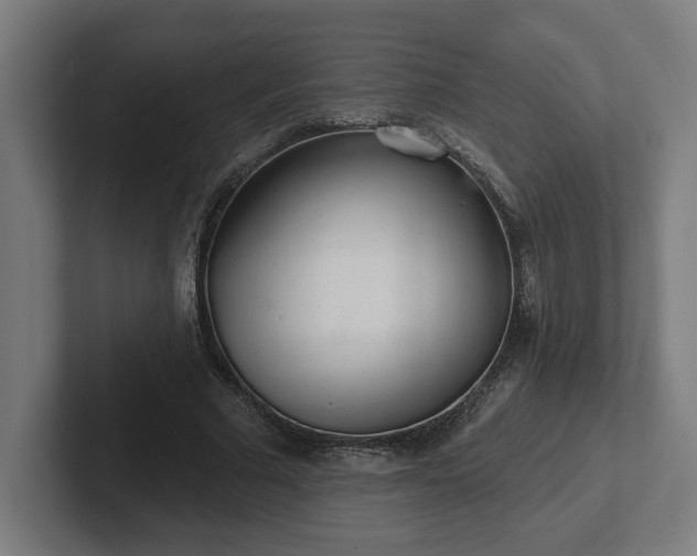 X0000102310681200808011423