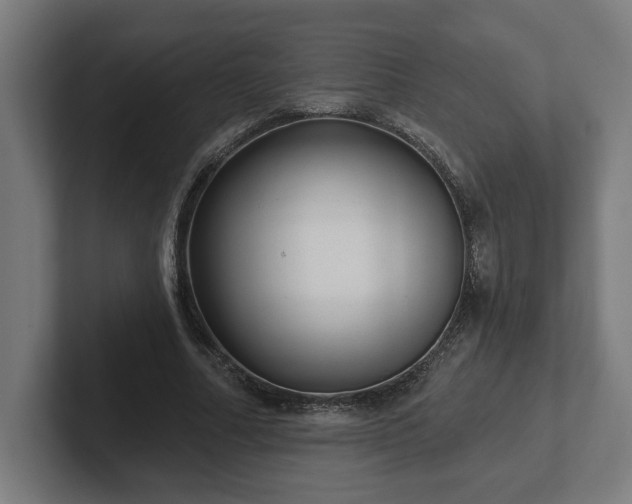 X0000102310682200808011423