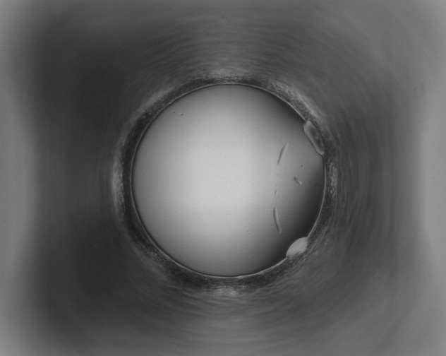 X0000102310684200808011423