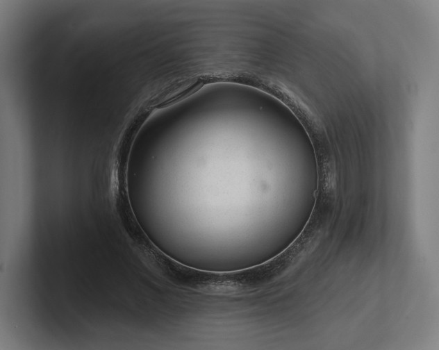 X0000102310685200808011423