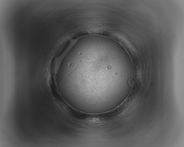 X0000102310687200808011423