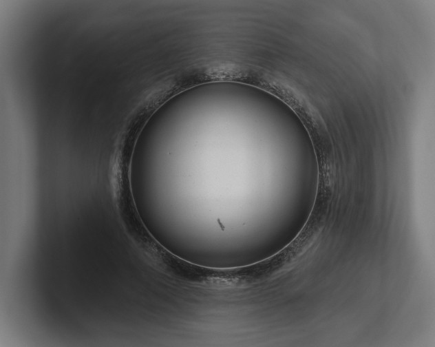 X0000102310690200808011423