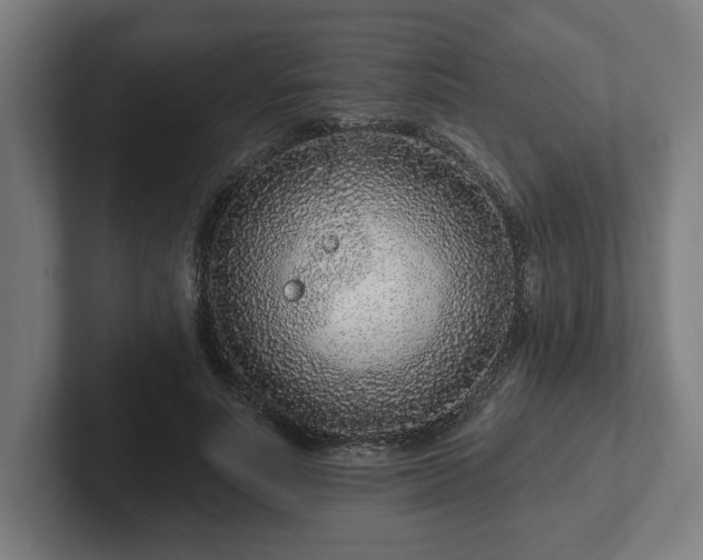 X0000102310691200808011423